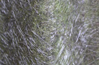 Leckhampstead Thicket fibreglass roof work